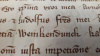 Ersterwähnung von Winnekendonk in einer Urkunde des Jahres 1282 | © Elisabeth Maas, Stiftsarchiv Xanten
